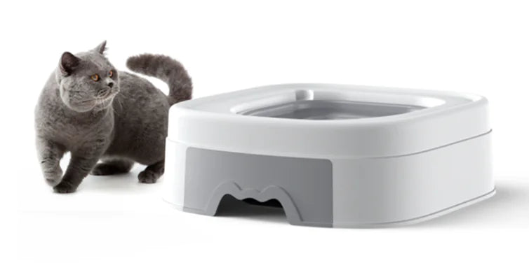 Cat Toilet Trainer with Sand Table