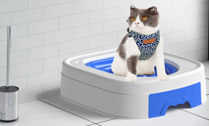 Cat Toilet Trainer with Sand Table